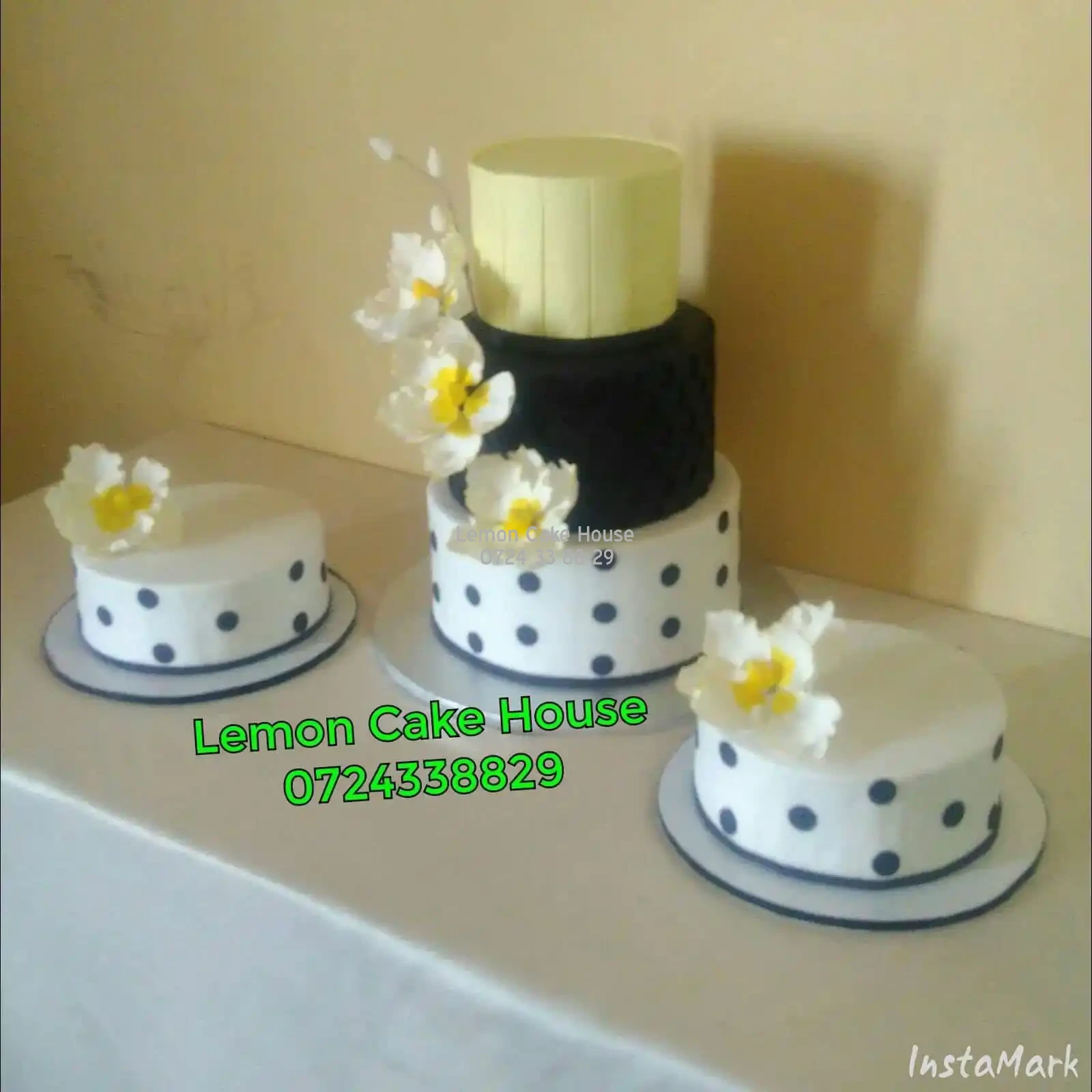 Lemoncake House Gallery Images